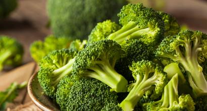 Recipes of broccoli dishes with photos - we cook quickly and tasty