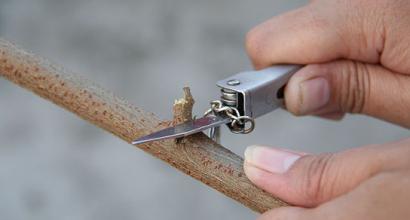 How to make an arrow for a bow: making a shaft, plumage and a tip We make arrows for a bow at home