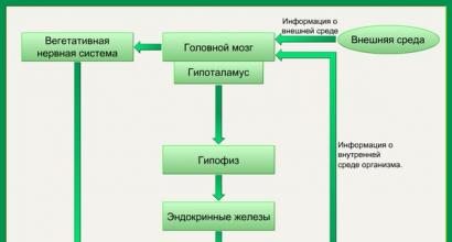 Nervous and humoral regulation