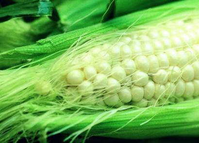 Mais i en drøm: mange eller flere kolber, gul, grønn, i korn, rå, kokt, hermetisert, flerfarget