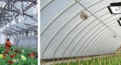 What lamps to use to heat the greenhouse