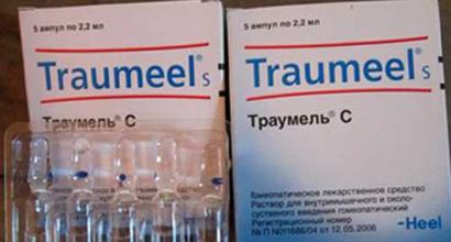 Dosage of traumeel drops for dogs Traumeel who gave dogs for a long time