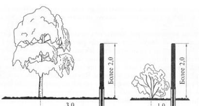 Law on planting trees on a garden plot, distance from the fence